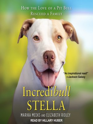cover image of Incredibull Stella